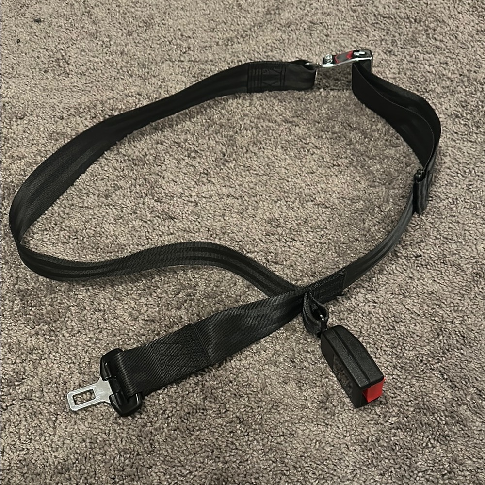 Pregnancy Black Safety Belt with Red Buckle